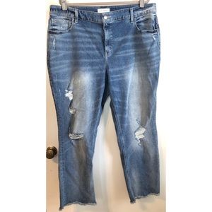 Lane Bryant high rise Straight jeans